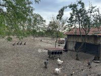 Eladó családi ház, Biharnagybajomban 7 M Ft, 2 szobás