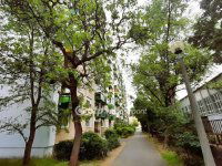 Eladó panellakás, Nyíregyházán 43.5 M Ft, 3 szobás