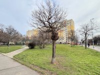 Eladó panellakás, XIX. kerületben 59.9 M Ft, 3 szobás