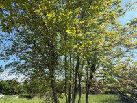 Eladó telek, Túronyon 3 M Ft / költözzbe.hu