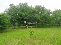 Eladó családi ház, Bodajkon 67 M Ft, 2 szobás