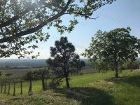 Eladó telek, Keszthelyen 32 M Ft / költözzbe.hu