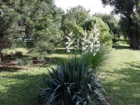 Eladó családi ház, Pogányon 95 M Ft, 5 szobás