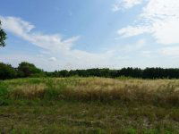 Eladó családi ház, Zalavégen 15.8 M Ft, 2 szobás