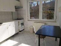 Kiadó téglalakás, albérlet, II. kerületben, Budakeszi úton