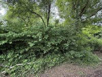 Eladó mezogazdasagi ingatlan, Balatongyörökön 20 M Ft