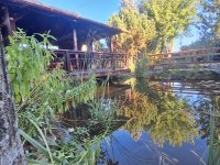 Eladó családi ház, Jászberényben 139.99 M Ft, 4 szobás