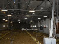 Eladó mezogazdasagi ingatlan, Mezőhegyesen 300 M Ft