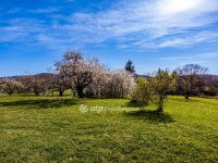 Eladó telek, Várvölgyön 16.9 M Ft / költözzbe.hu