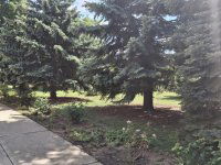 Eladó telek, Balatonföldváron 65 M Ft / költözzbe.hu