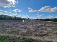 Eladó ipari ingatlan