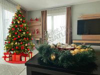 Kiadó téglalakás, albérlet, III. kerületben, Szent István utcában