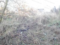 Eladó mezogazdasagi ingatlan, Kaposváron 0.99 M Ft