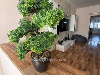 Eladó téglalakás, Hajdúszoboszlón 79.5 M Ft, 3 szobás