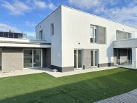 Kiadó téglalakás, albérlet, Székesfehérvárott 350 E Ft / hó
