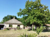 Eladó családi ház, Császártöltésen 16 M Ft, 2 szobás