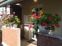 Eladó családi ház, Szegeden 63.5 M Ft, 2+1 szobás