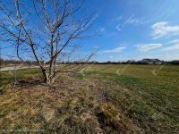 Eladó telek, Székesfehérvárott 95 M Ft / költözzbe.hu