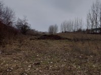 Eladó mezogazdasagi ingatlan, Szandán 50 M Ft, 3 szobás