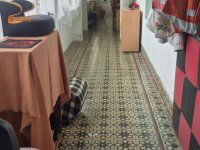 Eladó családi ház, Szellőn 23.7 M Ft, 3 szobás