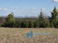 Eladó mezogazdasagi ingatlan, Alsópáhokon 8.5 M Ft