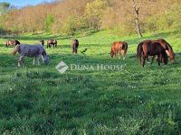 Eladó mezogazdasagi ingatlan