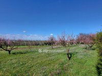 Eladó telek, Siófokon 40.2 M Ft / költözzbe.hu