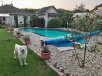 Eladó családi ház, Vecsésen 144.9 M Ft, 4 szobás