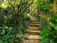 Eladó téglalakás, II. kerületben 149 M Ft, 4 szobás