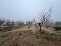 Eladó családi ház, Pilisen 139.9 M Ft, 3 szobás