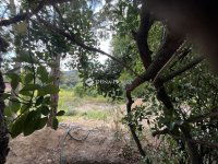 Eladó telek, XII. kerületben 369 M Ft / költözzbe.hu