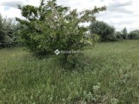 Eladó telek, Székesfehérvárott 14.9 M Ft / költözzbe.hu