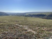 Eladó mezogazdasagi ingatlan, Kosdon 59 M Ft / költözzbe.hu