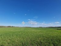 Eladó mezogazdasagi ingatlan, Sülysápon 40.5 M Ft