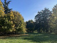 Eladó telek, XII. kerületben 490 M Ft / költözzbe.hu