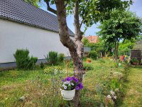 Eladó családi ház, Enyingen 32.5 M Ft, 3 szobás