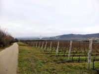 Eladó mezogazdasagi ingatlan, Nadapon 15 M Ft