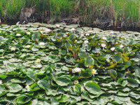 Eladó családi ház, Érden 150 M Ft, 4 szobás