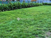 Eladó ikerház, Bugyin 49.9 M Ft, 5+1 szobás