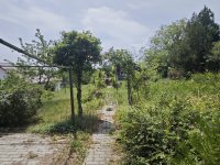 Eladó telek, Szentendrén 38 M Ft / költözzbe.hu