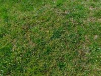 Eladó mezogazdasagi ingatlan, Ságváron 3.6 M Ft