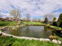 Eladó mezogazdasagi ingatlan, Békéscsabán 14.9 M Ft