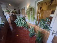 Eladó családi ház, Tiszaalpáron 31.9 M Ft, 3 szobás