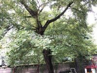 Eladó téglalakás, XIII. kerületben 89 M Ft, 2 szobás