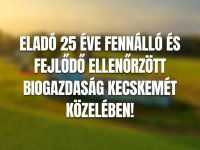 Eladó mezogazdasagi ingatlan