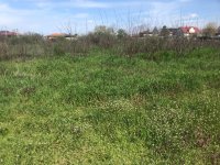 Eladó telek, Vásárosnaményben 28 M Ft / költözzbe.hu