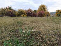 Eladó telek, Solymáron 69.9 M Ft / költözzbe.hu