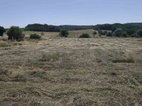 Eladó ipari ingatlan, Felsőörsön 250 M Ft / költözzbe.hu
