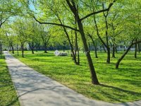 Eladó téglalakás, XX. kerületben 62.9 M Ft, 3 szobás