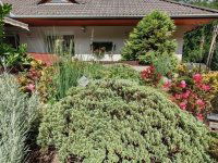 Eladó családi ház, Kecskeméten 139.9 M Ft, 4 szobás